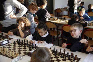 petits poussins aixois